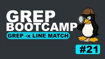 Grep Bootcamp 21: grep -x Exact Line Match - Find Config Headers Fast - No More Scrolling