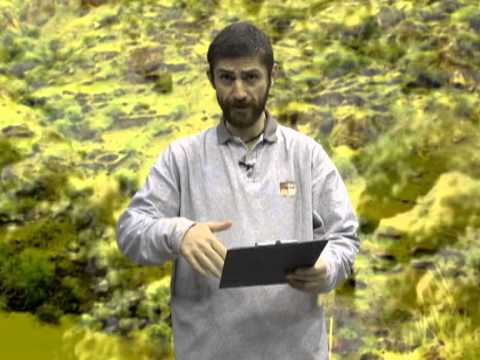 ლექსად ნათქვამი სიტყვა -გიორგი ნიკოლაძე   ,,ამონარიი პოემიდან ქართლის ზღაპარი ანი-ბანი\"