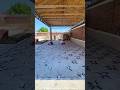 The process is to create marble effect flooring #shortsvideo