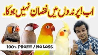 birds ke kaam me nuksan nahe he | birds business tips | lovebirds java sparrow  finch budgies profit