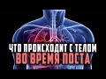 Что происходит с твоим телом во время поста!