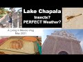Lake Chapala: Insects?  PERFECT Weather?  Expats living in Mexico
