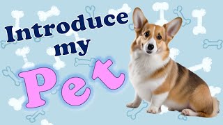 Introduce my PET | English Speaking | #englishlesson #pet #dog  #cargi