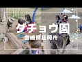 叔父さんと姪っ子でダチョウ園に行ってみた。
