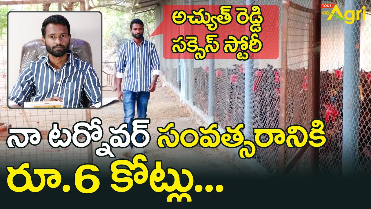 Natukodi Farming in Telugu | నా టర్నోవర్ సంవత్సరానికి రూ.6 కోట్లు..!! Organic Eggs | Tone Agri