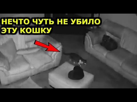 Видео: На живо ли е el fantasma?