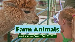 Welcome to the 2024 Yorktown Grange Fair
