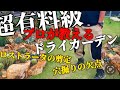 【プロが特別解説】ドライガーデン施工時の土壌改良の注意点‼︎ユッカロストラータの剪定について教えてくれました‼︎