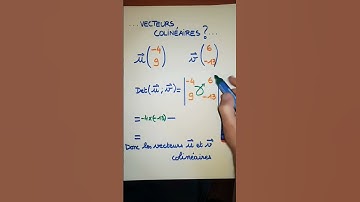 Vecteurs colinéaires. Déterminant.