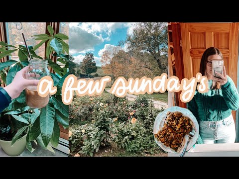 a few sunday mornings| go-to fall makeup, vegan food, + little moments