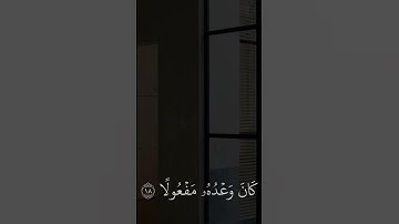 تلاوة عطرة 🌱☘️ من  سورة المزمل للقارئ : #عبدالرحمن_مسعد  |