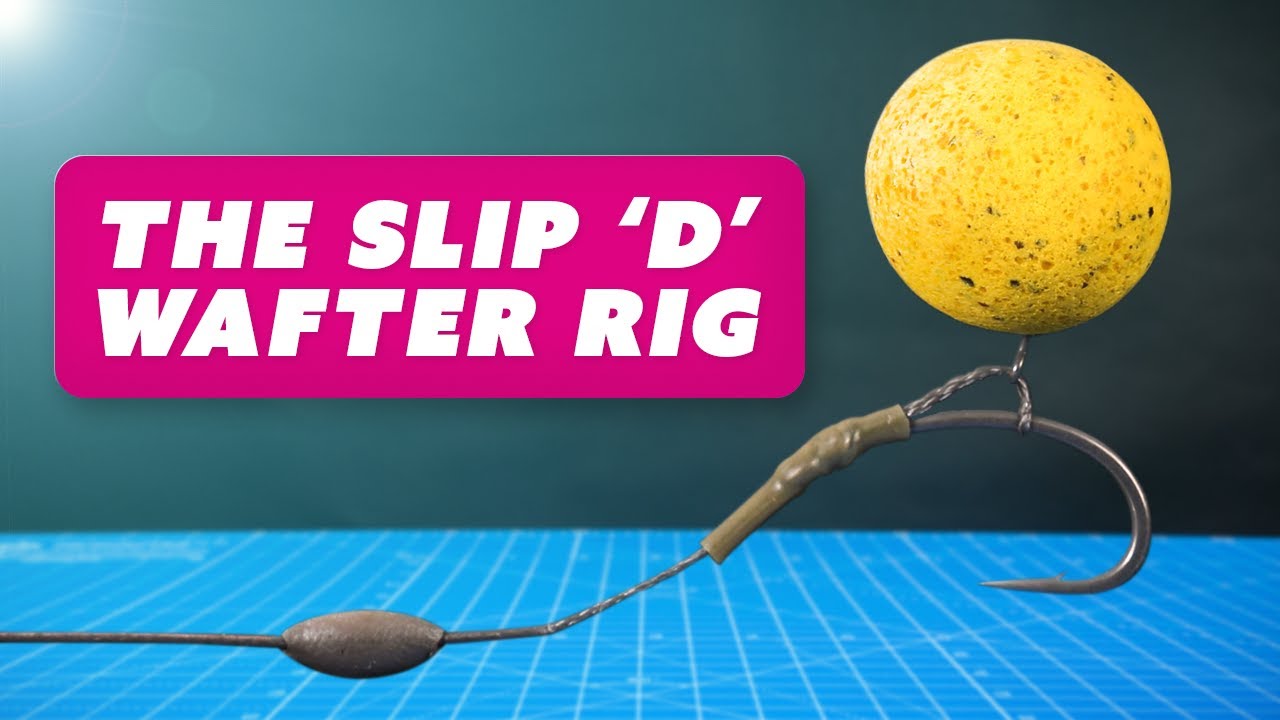 The Slip D WAFTER RIG! Catch more with this CARP FISHING Wafter