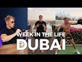 What is dubai really like as a young entrepreneur