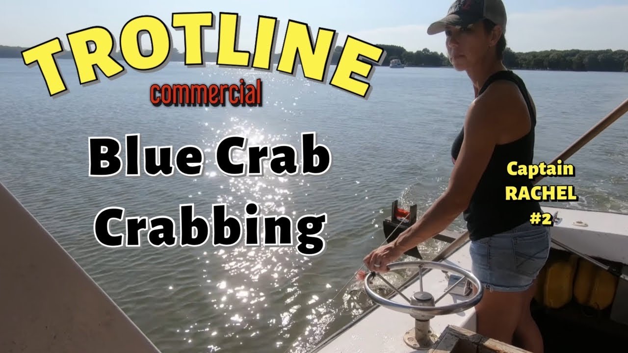 Trotline Blue Crab Crabbing - Episode 2 with water-woman Captain
