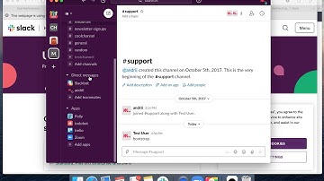 How to ORGANIZE SIDEBAR in SLACK?