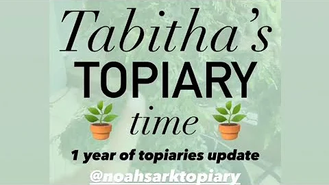 Tabitha's Topiary Update | Moss & Vine Topiary