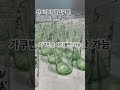 #위스키 #위스키추천 #팝업 #팝업스토어 #압구정#도산공원 #야마자키 #하쿠슈 #히비키 #재패니즈워스키 ✌️✌️✌️