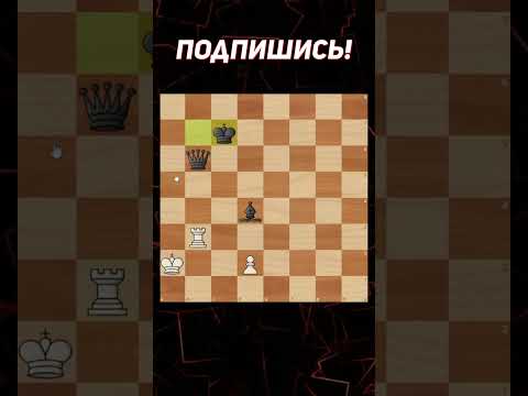 Неожиданная Жертва Для Ничьи!