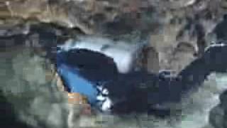 the art of safe cave diving