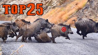 ( FULL SHOTS) TOP 25 YABAN DOMUZU AVI ( SHOTKAM ), BEST WILD BOAR HUNTING COMPILATION HOG HUNTS PIG