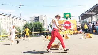 First Dog-show Gurus Del Perros Amado Rotwild - 3,5 months