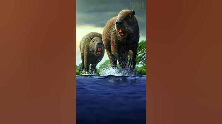 As versões pré-históricas dos animais modernos part. 9😳 #shorts #curiosidades #short #shortvideo