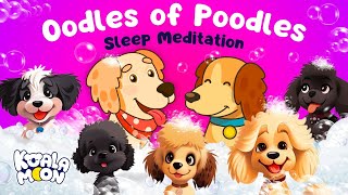 Children's Sleep Meditation Story | Hector & Sunny: Oodles of Poodles 💕🐩 Calm Kids Sleep Meditation screenshot 5