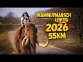 Mammutmarsch Leipzig 2026 55KM Weitweg Alexandra Wasko