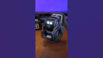 Does Vector like dogs? #ai #robot #vector #shorts #shortvideo #viralvideo #dog #subscribe #short