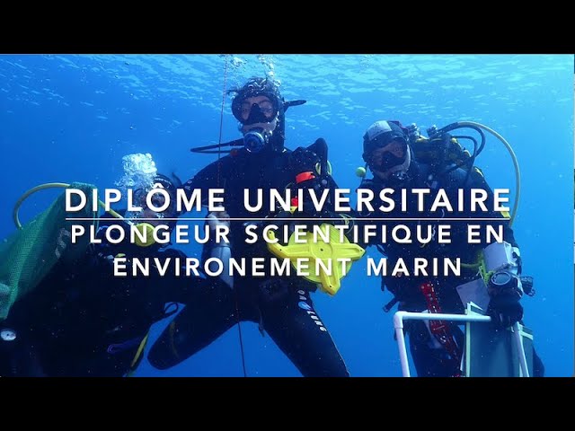 Comment devenir plongeur scientifique ? DU PSEM by NOMAD DIVER