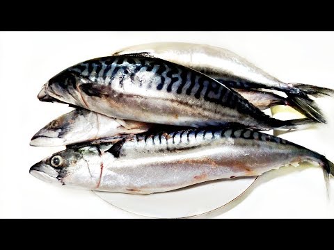 Video: Useful Properties Of Seafood
