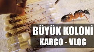 #KÇ3 ÇÖK ESMA ÇÖK! CANAVAR BUNLAR - VLOG