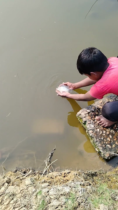 Hand Fishing #hook_fishing #village boy fishing #viral #fishing #shorts #video #viral fish