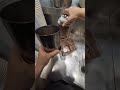 Hidden Bubble Tea Menu: Ice Cream + Hot Cocoa Combo—The Ultimate Contrast of Ice and Fire#asmr #pov