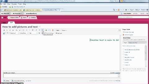 Inserting text and pictures into a wiki