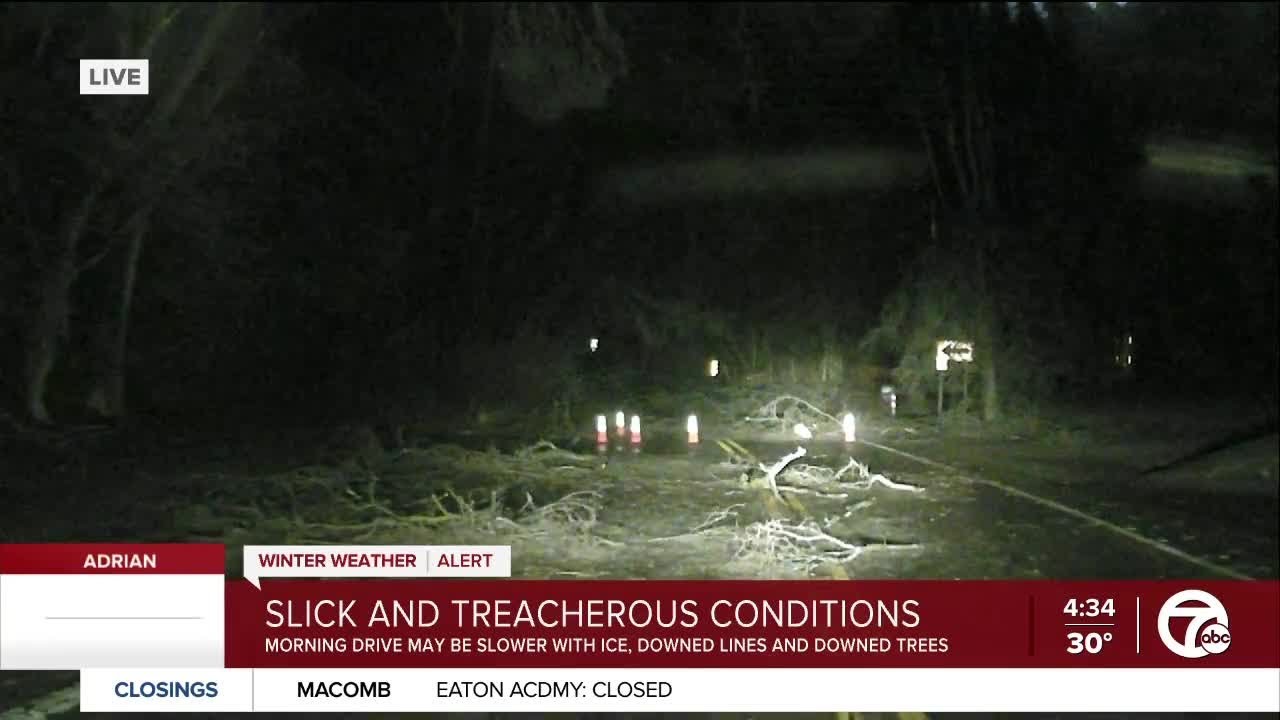 Drive slow! Trees are down and roads are slick Thursday morning ...