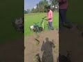 Bermuda carpet grass |