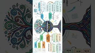 Polynomials Class 10 Math Mind Map #mathshorts #maths #mathhacks