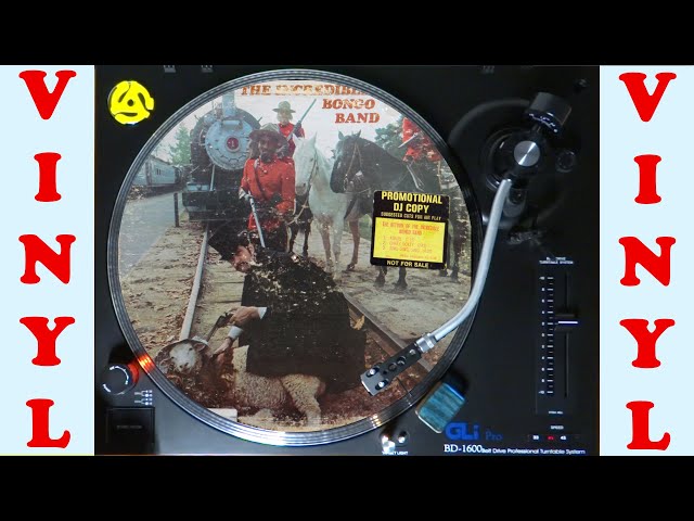 The return of THE INCREDIBLE BONGO BAND - vinyl to video - YouTube