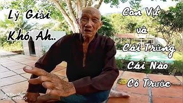 con Vịt và Cái Trứng ông ba cư sĩ ẩn danh Núi Cấm lý giải rất hay