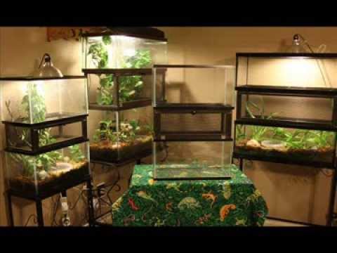 lizard skin grips Terrarium Extension