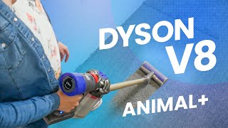 Test du Dyson V8 Animal+ : Des performances à la hauteur de sa réputation