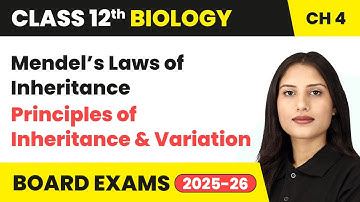 Mendel’s Laws of Inheritance - Principles of Inheritance and Variation | Class 12 Biology Chapter 4