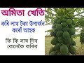       amitar kheti in assamese  papaya farming in assamese