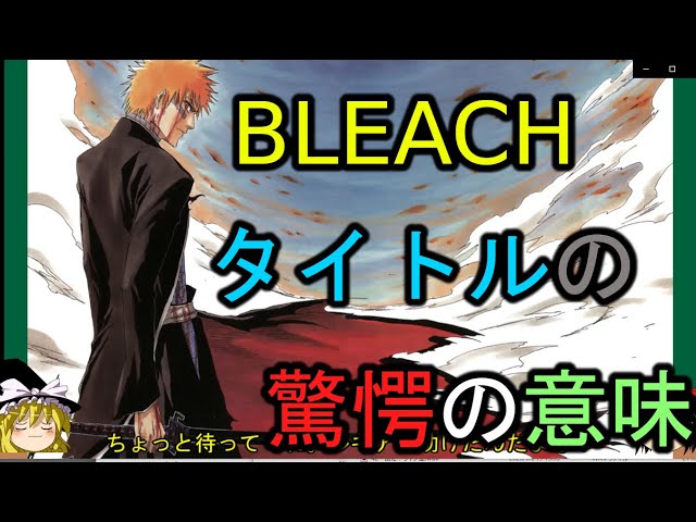 サルでもわかる尸魂界編 Bleachというタイトルに込められた驚愕の意味 ゆっくり解説 Youtube