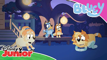 Playtime with the Heelers 🐶 | Bluey 💙 | Disney Junior Arabia