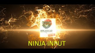 Ninja Bear Studios - Ninja Input