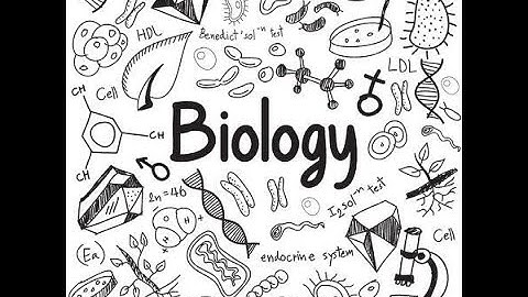 D2L Orientation video