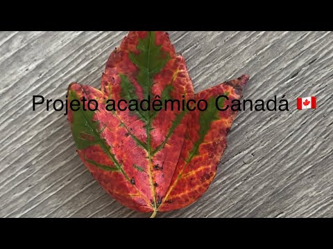 Vídeo vidaaa - falando um pouco do processo de doutorado sanduíche no Canadá