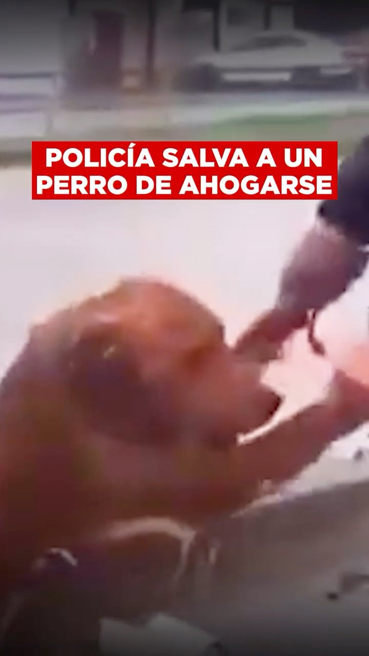 Cámara Oculta: Policías de Tijuana fueron grabados